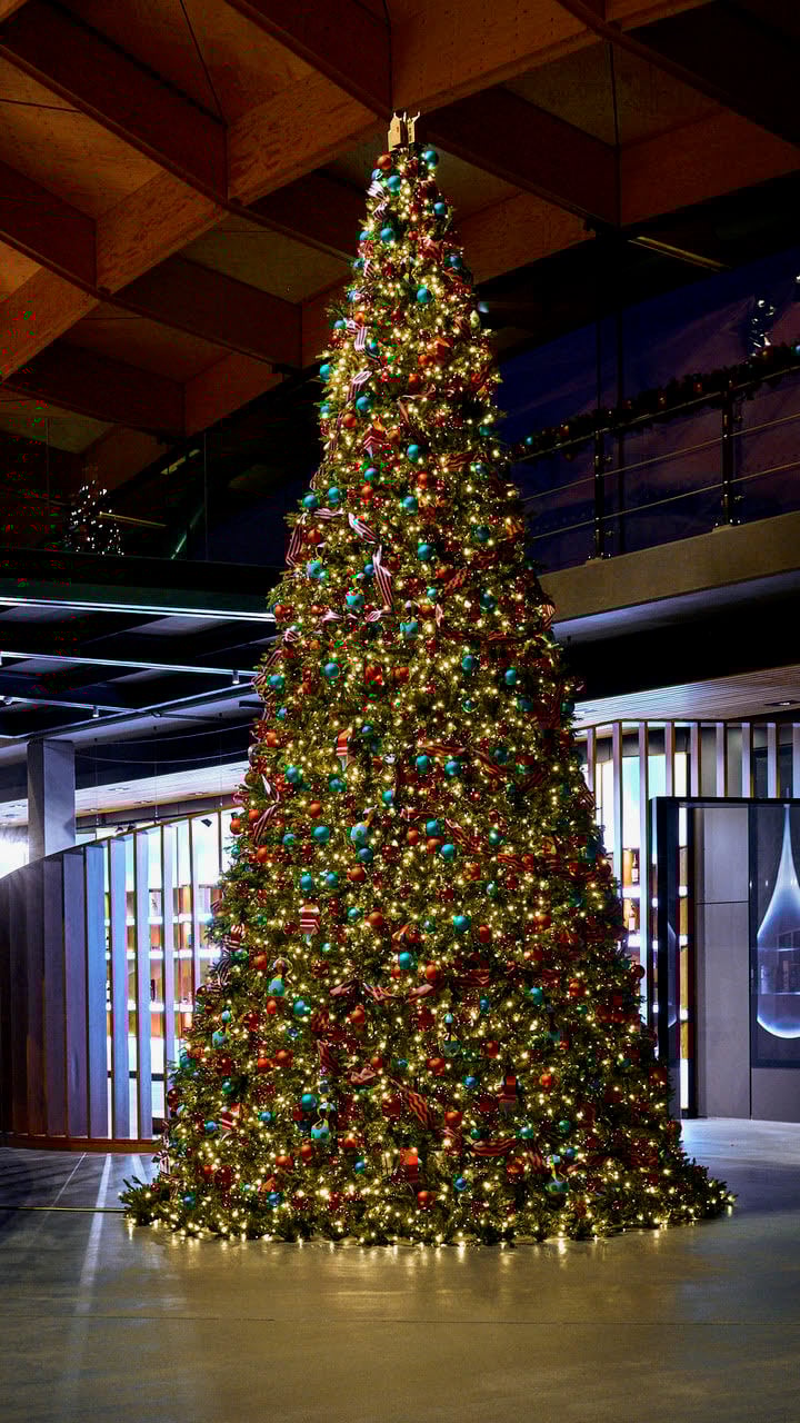 Macallan xmas tree